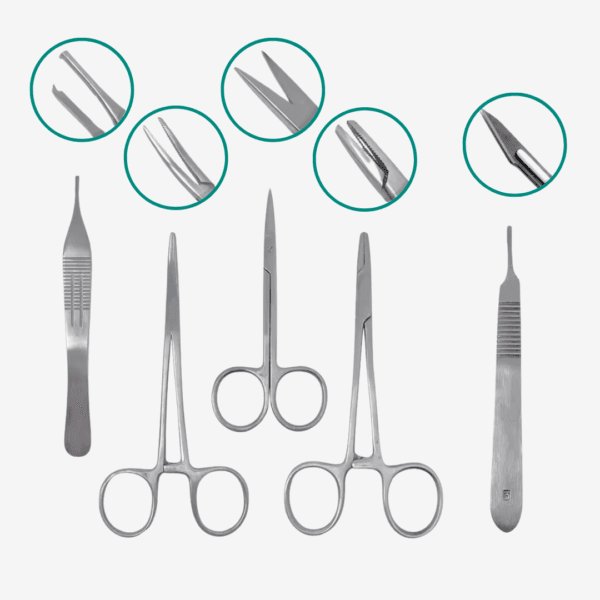 Kit de Sutura para Practicar - Imagen 3